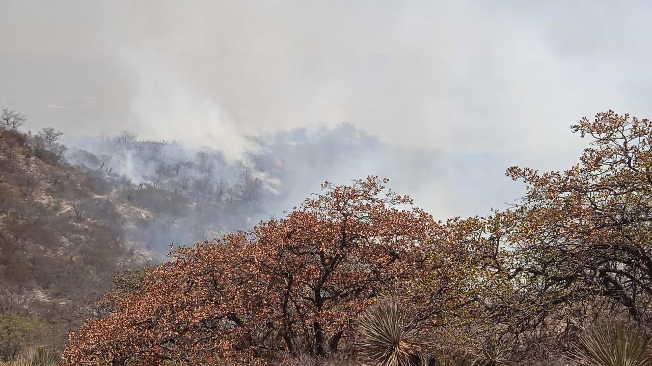 Continúan labores para contener el fuego en la Sierra de San Miguelito